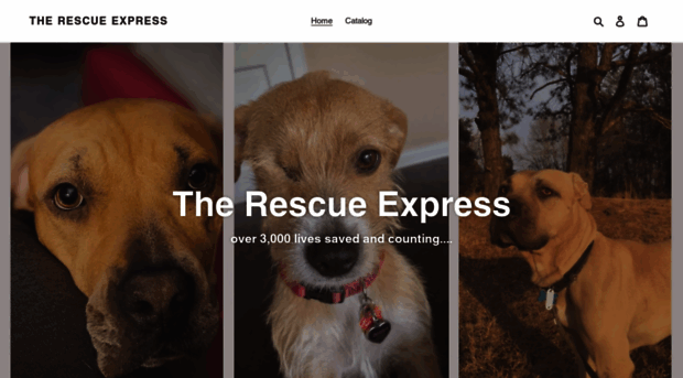 the-rescue-express.myshopify.com
