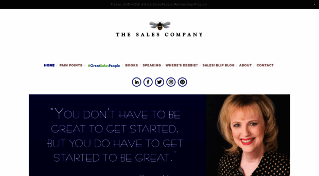 the-sales-company.com