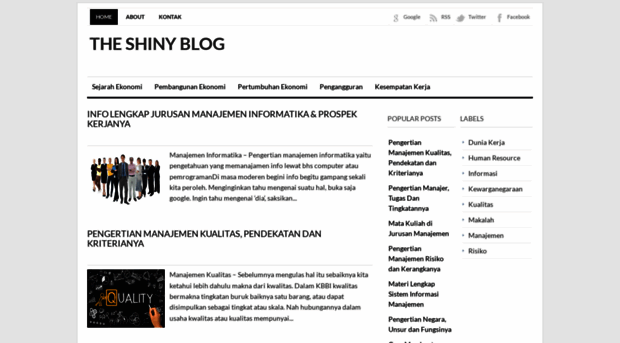 the-shiny-blog.blogspot.com