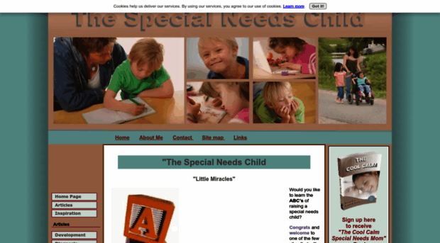 the-special-needs-child.com