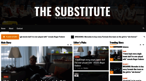 the-substitute.com