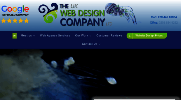 the-web-design-company.co.uk