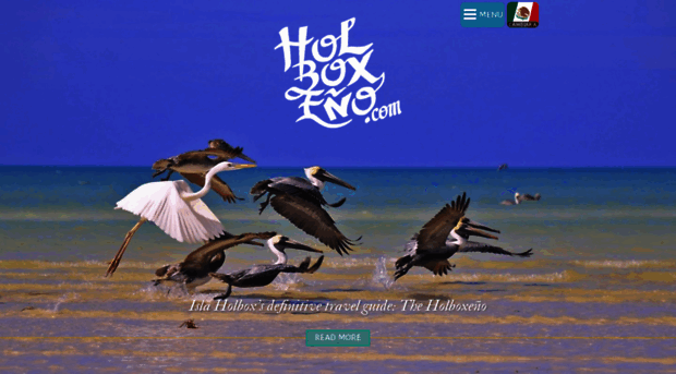 the.holboxeno.com