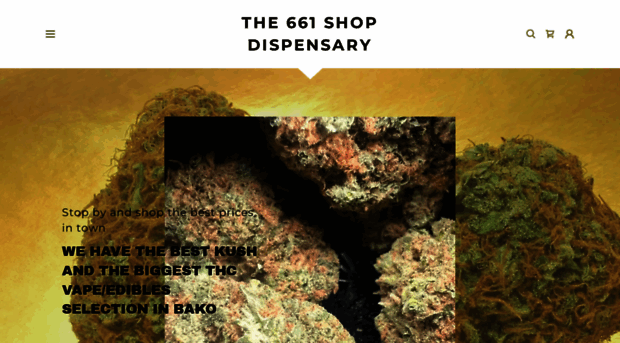 the661shop.com