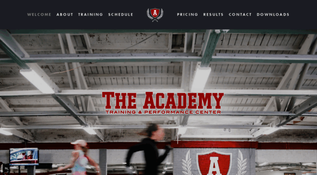 theacademyfitness.com