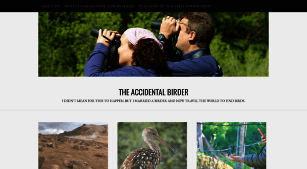 theaccidentalbirder.com