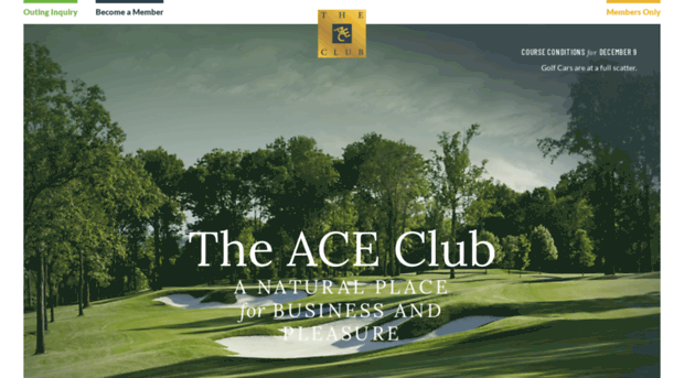 theaceclub.com