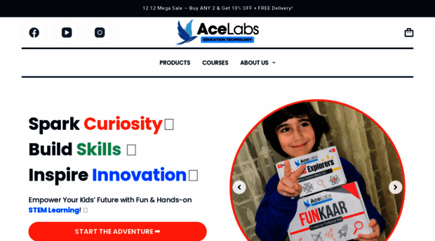 theacelabs.com