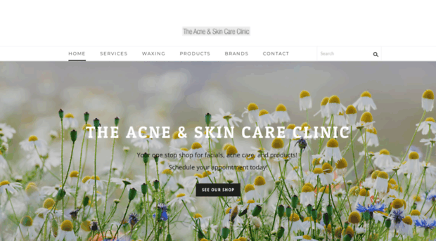 theacneandskincareclinic.com