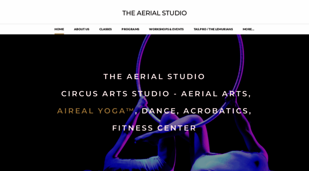 theaerialstudio.net