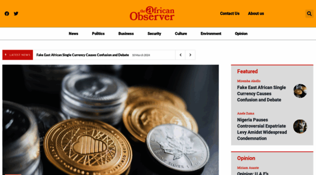 theafricanobserver.com