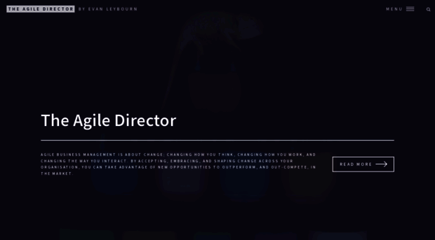 theagiledirector.com