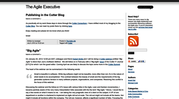 theagileexecutive.com