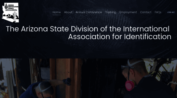 theaic.com