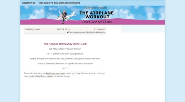 theairplaneworkout.com