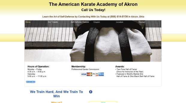 theamericankarateacademy.com