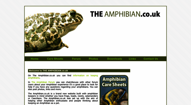 theamphibian.co.uk