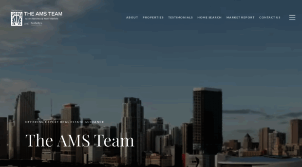 theamsteam.com