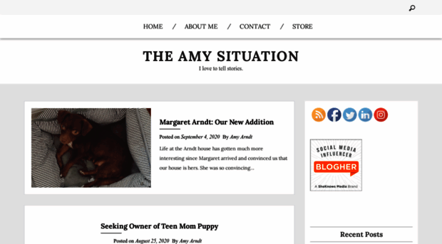 theamysituation.com