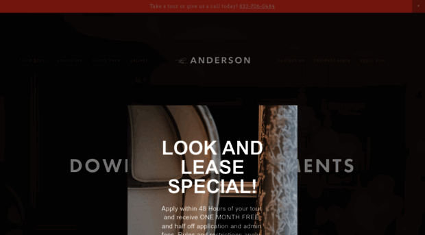 theandersonrockhill.com