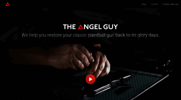 theangelguy.com