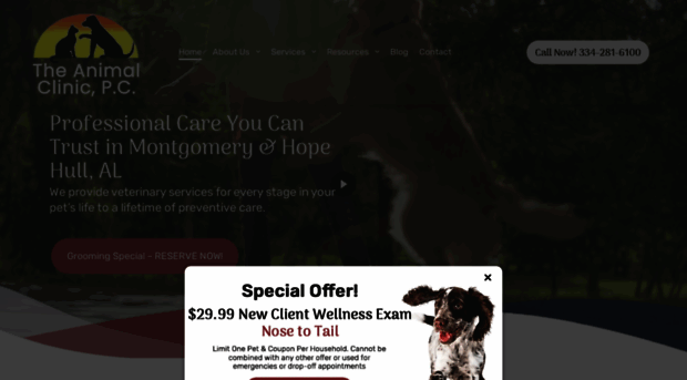 theanimalcliniconline.com