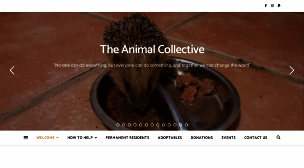 theanimalcollective.net