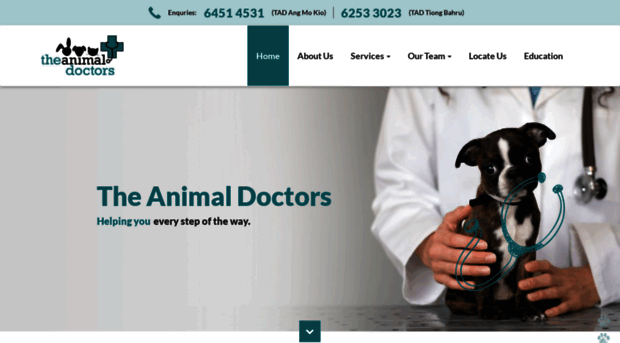 theanimaldoctors.com.sg