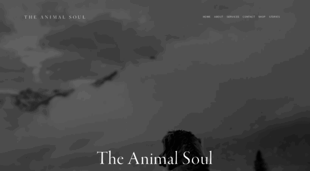 theanimalsoul.com