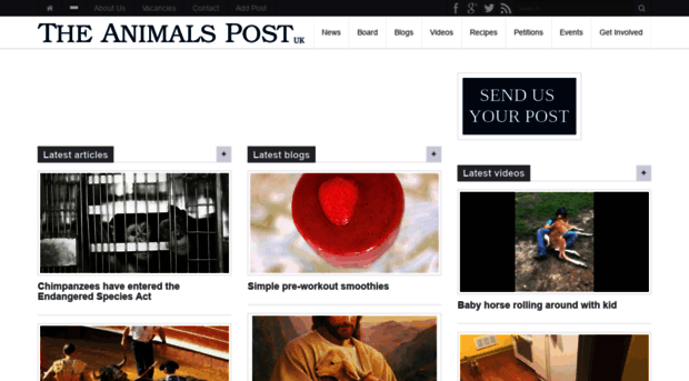 theanimalspost.com