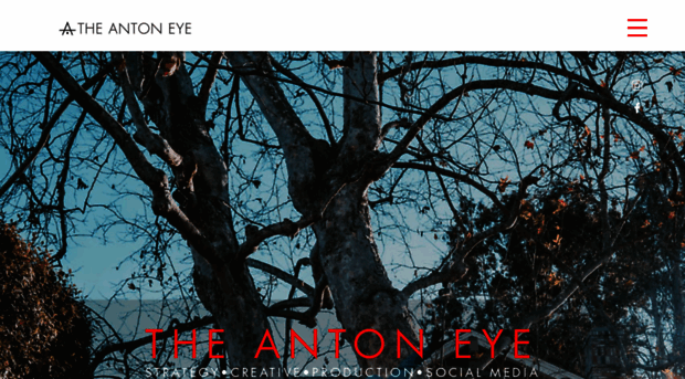 theantoneye.com