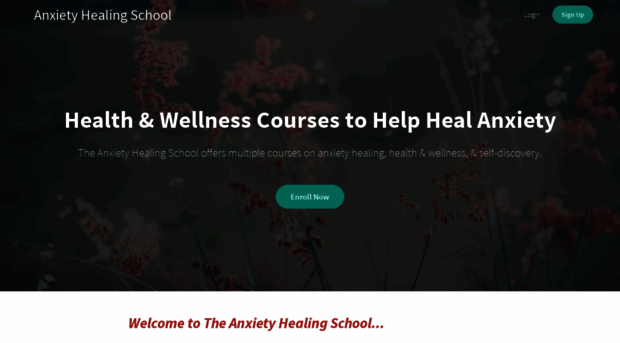 theanxietyhealingschool.com