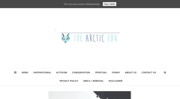 thearcticfox.co.za