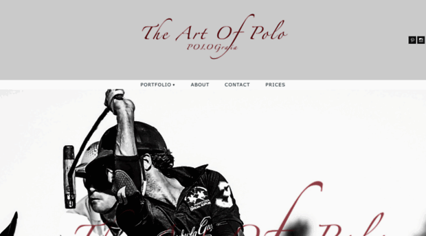 theartofpolo.com