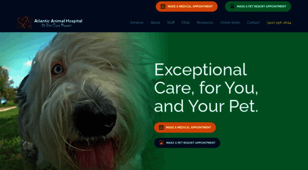 theatlanticanimalhospital.com