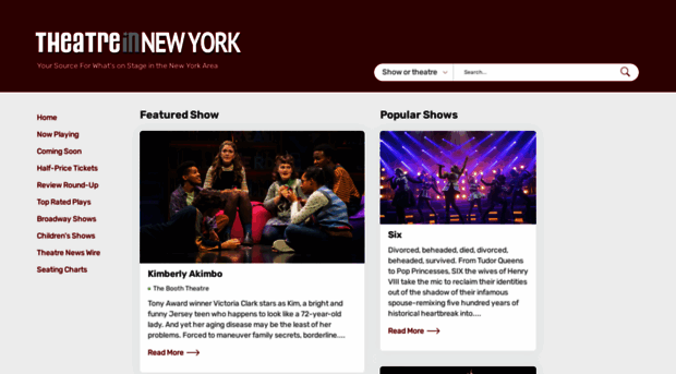 theatreinnewyork.com