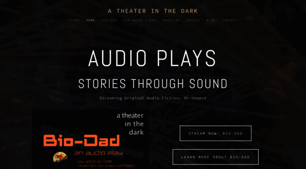 theatreinthedark.com