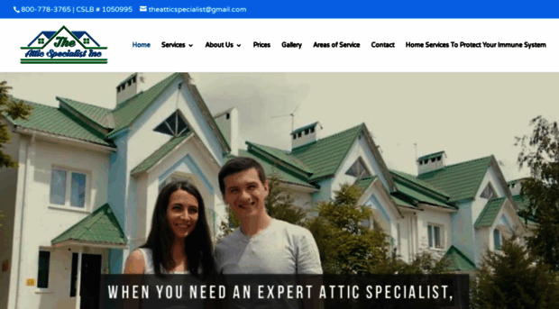 theatticspecialist.com