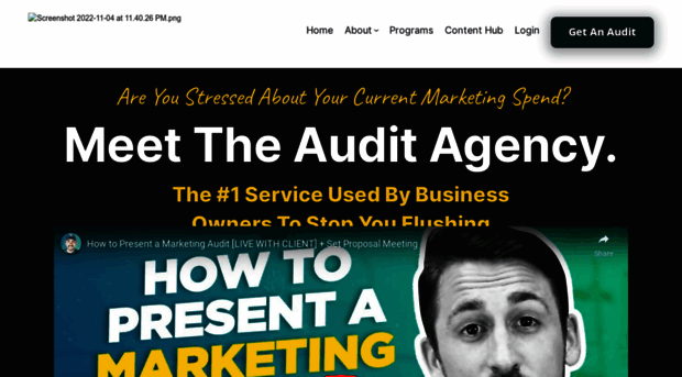 theauditagency.com