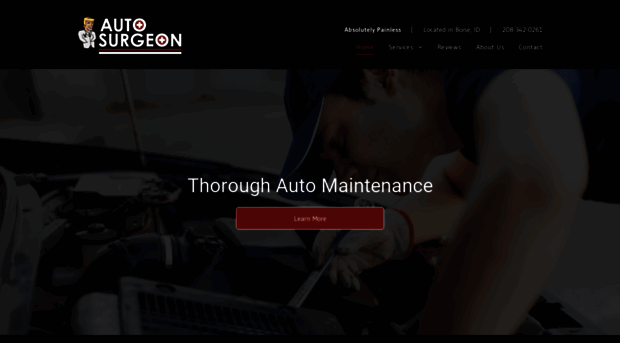 theautosurgeon.com