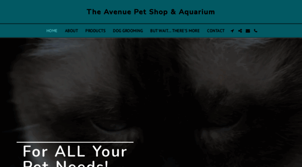 theavenuepetshop.com.au