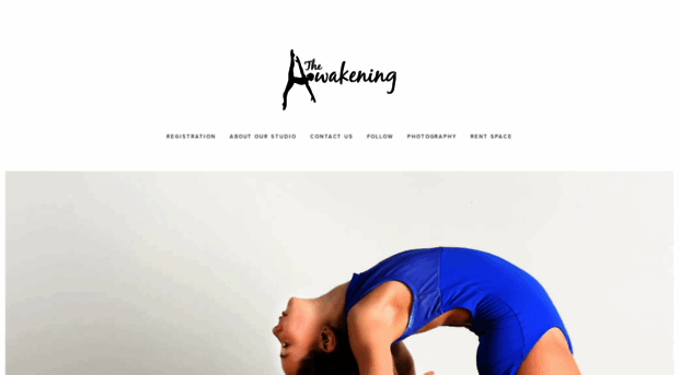 theawakeningllc.com