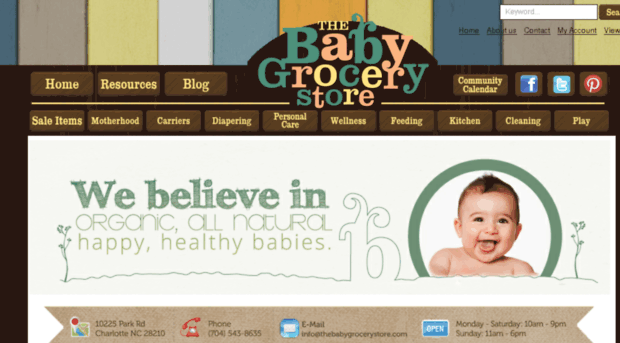 thebabygrocerystore.com