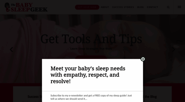 thebabysleepgeek.com