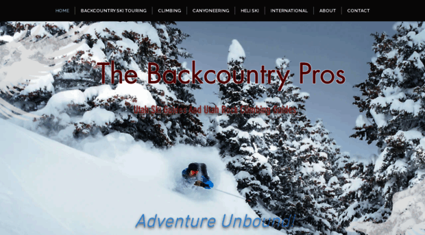 thebackcountrypros.com