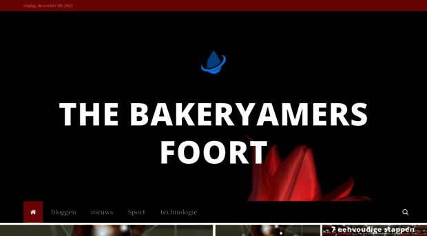 thebakeryamersfoort.nl