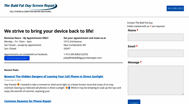 thebaldfatguyscreenrepair.com