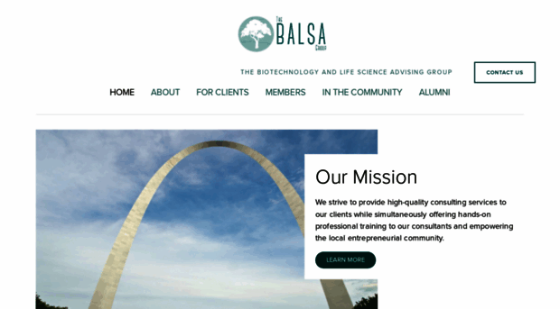 thebalsagroup.org