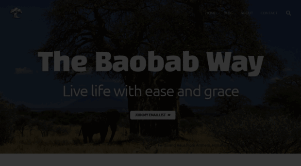 thebaobabway.com