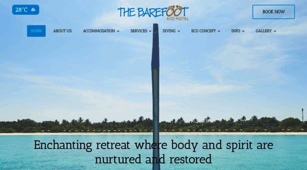 thebarefoot.com